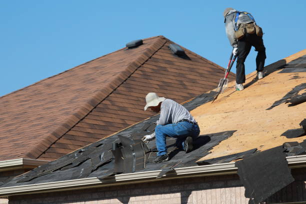 Best Roof Maintenance and Cleaning  in Ruston, LA