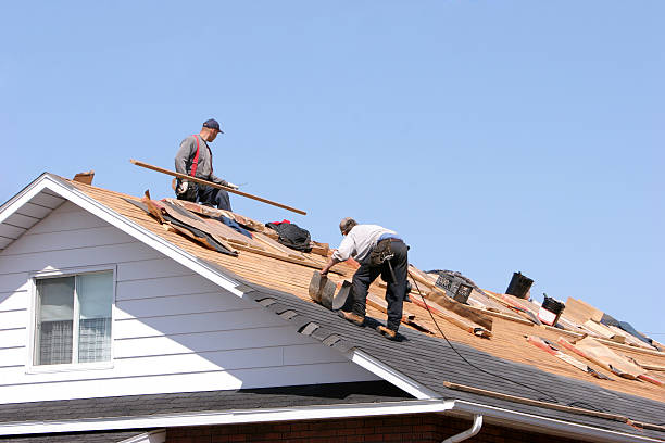 Best Roof Moss and Algae Removal  in Ruston, LA